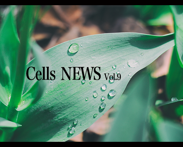 CellsNEWS