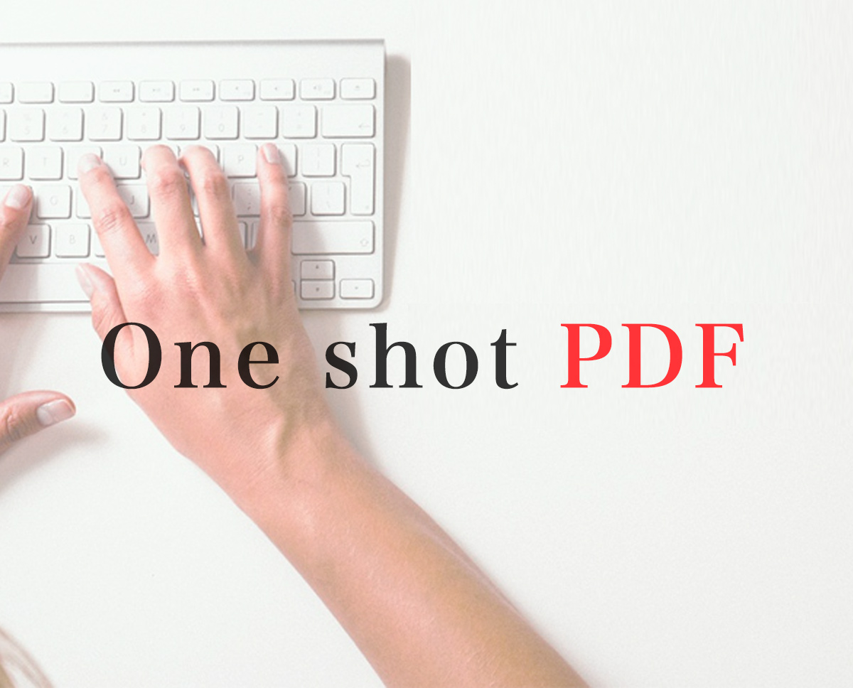 電子申請「One shot PDF」機能