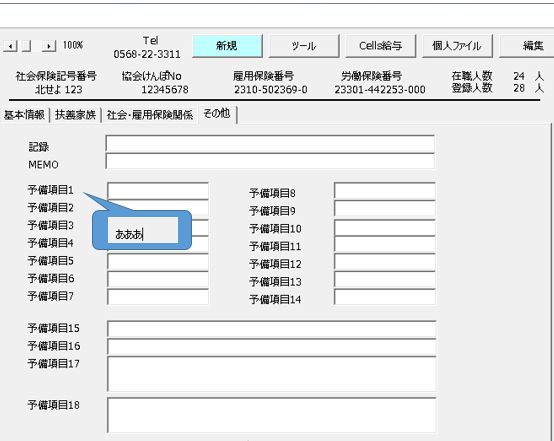 個人情報の「その他」タブの予備項目名は変更できますか？