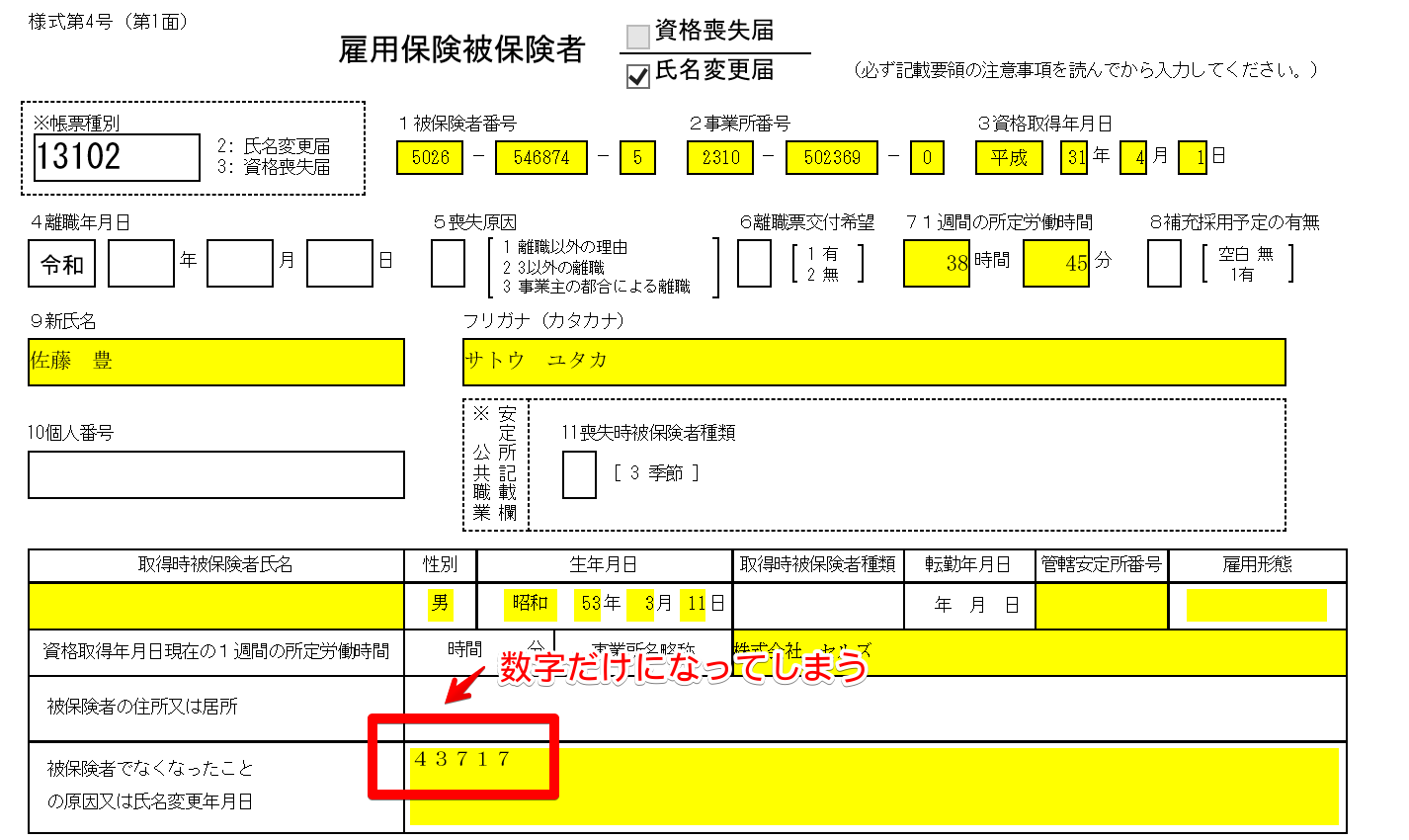 変更 雇用 保険 氏名